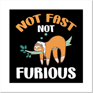 Cute Sloth Not Fast Not Furious Sleeping Sloth Lover Posters and Art